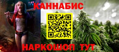 ешки Кингисепп