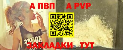 ешки Кингисепп