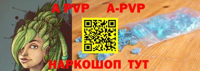 ешки Кингисепп