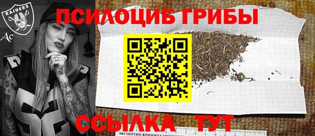 Галлюциногенные грибы мухоморы  как найти закладки  Псилоцибиновые грибы Psilocybe  Котовск  Вход с VPN 