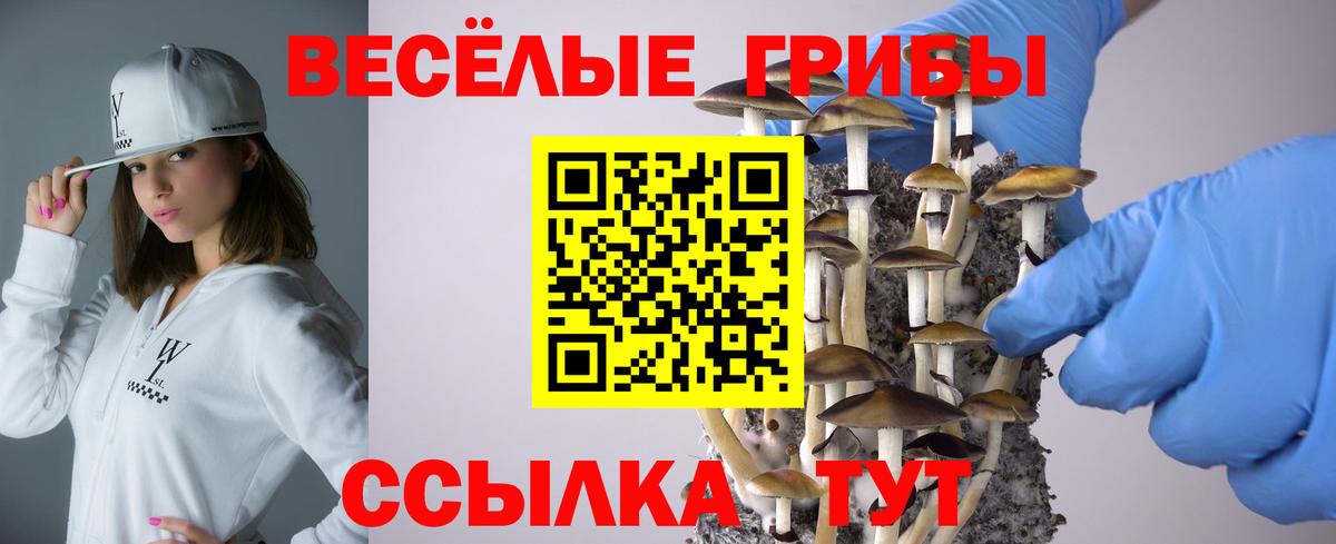 Галлюциногенные грибы прущие грибы Котовск